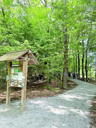 mayberry hill preserve4