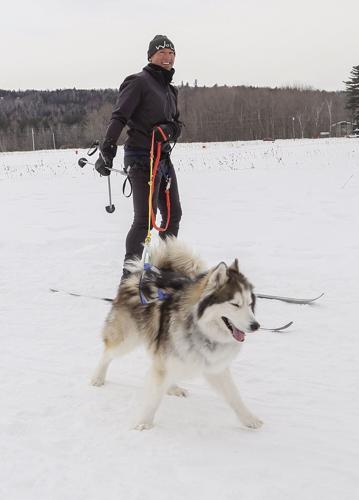 02-05-23 Sled Dogs vertical smiling