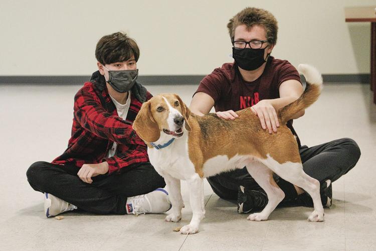 12-10-21 Pay it Forward cahs dog smile