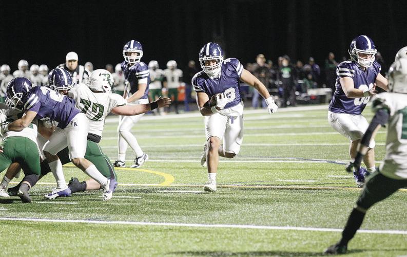 11-15-24 FA FB sow run