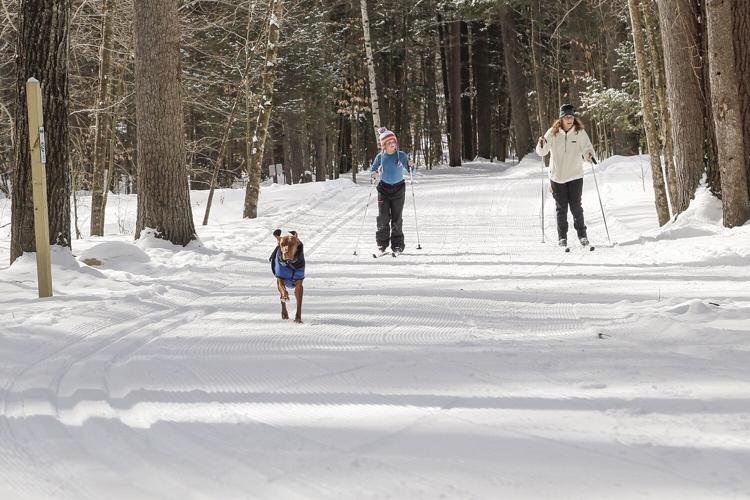 02-27-23 Whitaker Woods skiers and dog