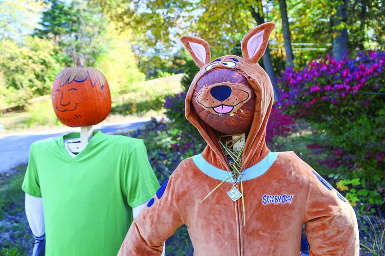 10-01-25 Pumpkin People inn at jackson medium