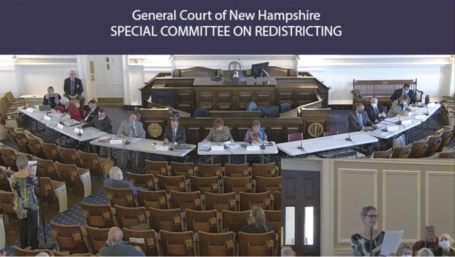 Ellen Farnum Special election committee on redistricting