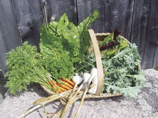 harvest