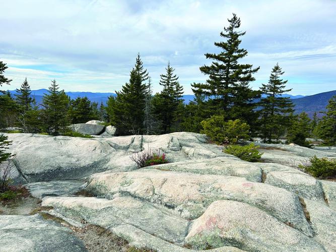 Hiking - viewless summit of Black Cap