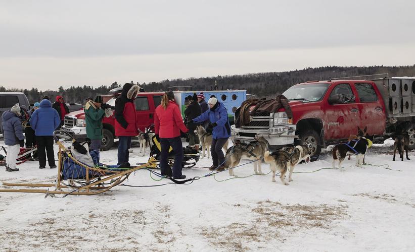 02-05-23 Sled Dogs wide musher trucks