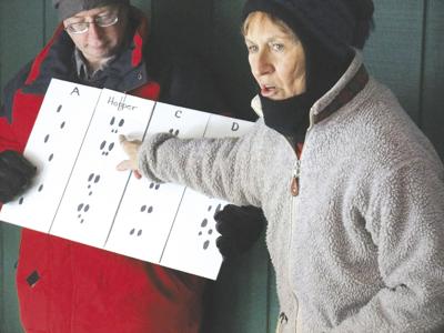 Barbara Bald-Green Mountain Conservation Group