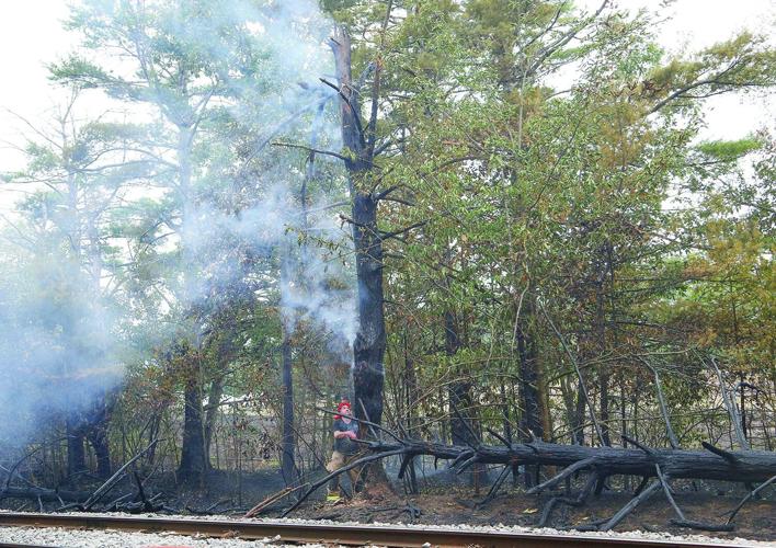 08-13-25 Holiday Inn-Brush Fire knocking down tree 1