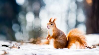 Coldest Marches in Maine since 1895