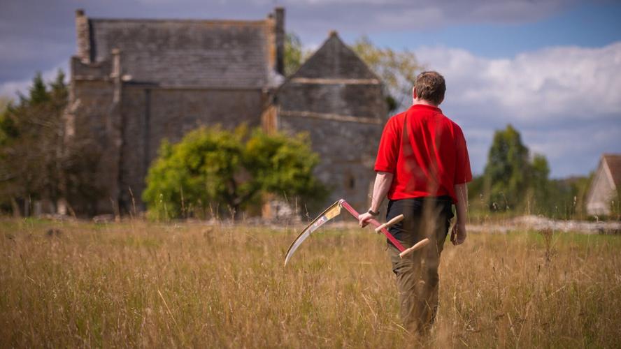 English Heritage using ancient scything methods to help protect rare bumblebee