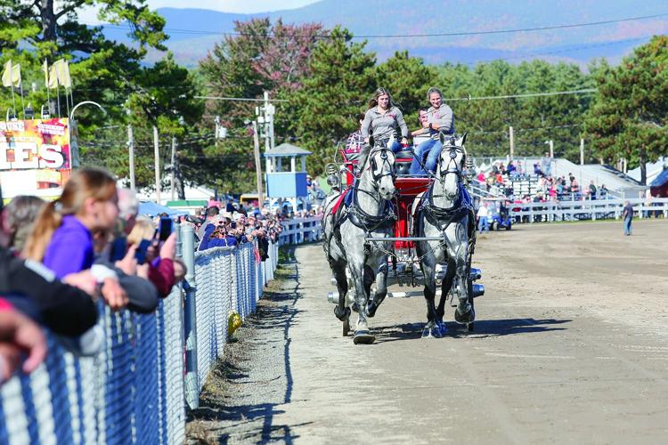 10-05-24 Fair Parade draft horses local