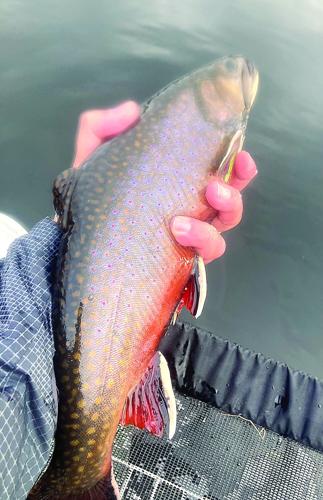 North Country Angler - Brook trout New Year's Resolution