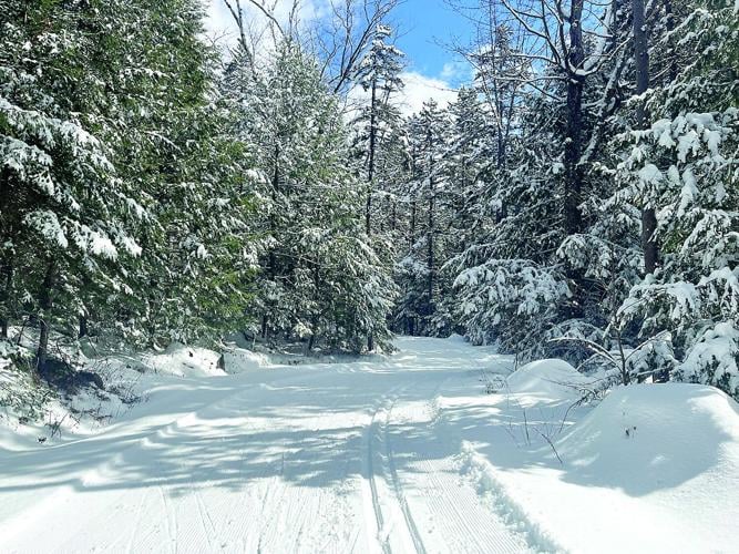 Nordic Tracks = last ski - Jackson's Henry Trail