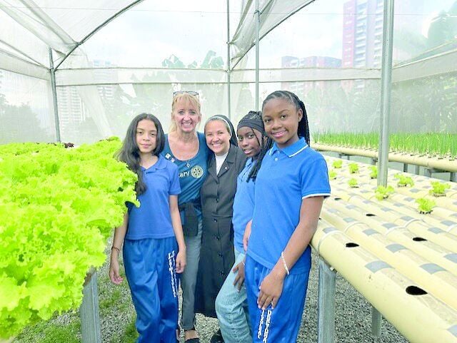 emma bodwell project