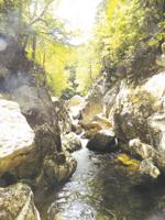 Spending the day on Moriah Brook Trail