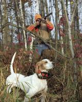 Ruffed grouse and woodcock seasons start October 1