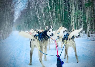 Muddy Paw files suit over Rail Trail access