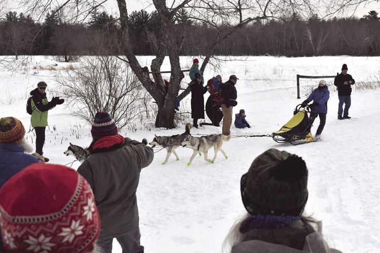 North Country Musher Kaitlyn Yacobucci finish.jpg