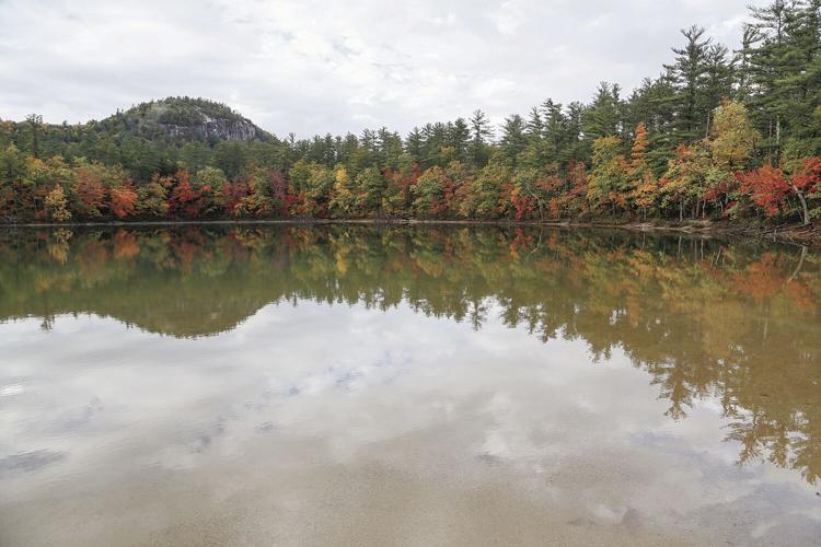 10-19-24 Echo Lake Foliage cathedral wider