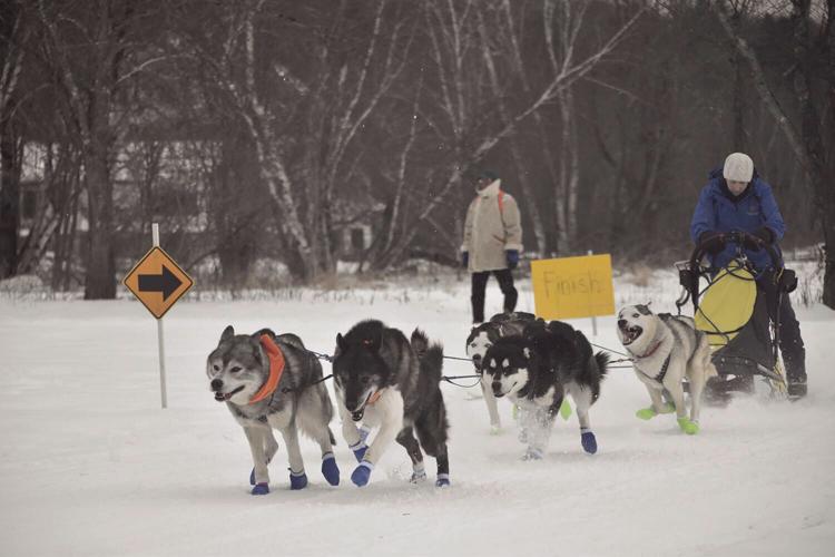North County Musher Kaitlyn Yacobucci start.jpg