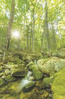 Upper Saco Valley Land Trust to presenting 'Introduction to Wilderness and Adventure Therapy' Sept 23