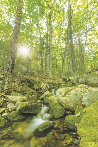Upper Saco Valley Land Trust-Introduction to Wilderness and Adventure Therapy