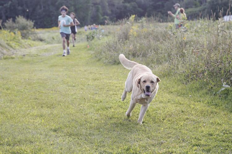 08-23-23 Kennett Challenge dog