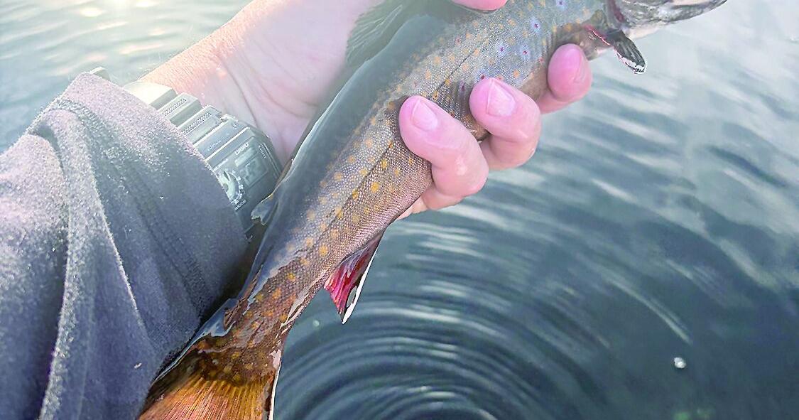 North Country Angling: Labor Day fishing best bets Sep 4, 2026 4 mins ago