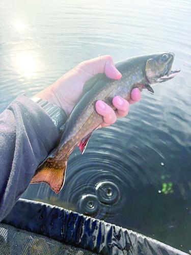 North Country Angling - Labor Day fish