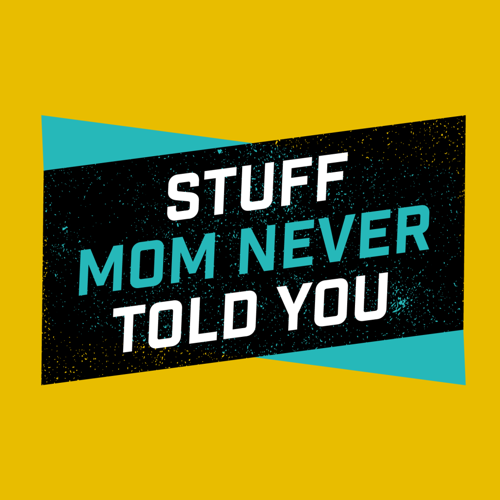 StuffMomNeverToldYou.png