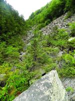 Hiking Ice Gulch in Randolph