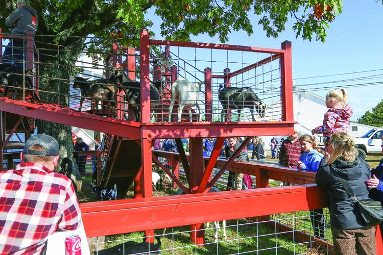 10-05-26 Fryeburg Fair goat playground