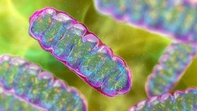 Top science stories of 2025