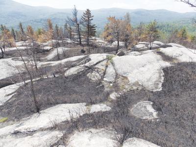 7-30-2022-Parsons-Bayle Mountain fire