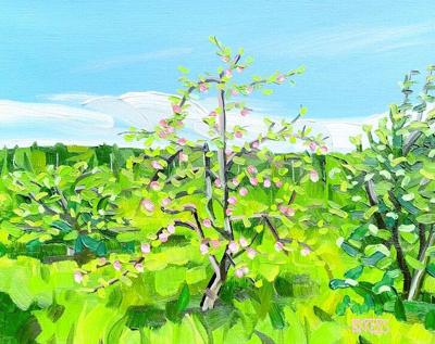 CL w14 aperto exhibit.tif