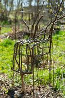 Britain’s first furniture orchard growing trees into chairs