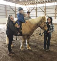 HHB Healing Foundation to host annual Barn Day Sept. 22