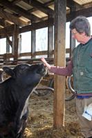 Kathy Sherman named chair of Farm Service Agency's N.H. committee
