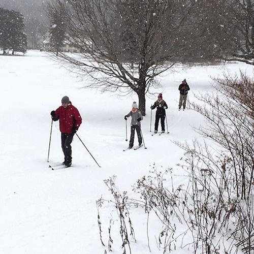 Nordic Tracks - fresh falling snow at Jackson Ski Touring Foundation