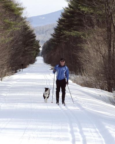2-4-17 Nordic Tracks - Bear Notch Believers — skier and dog.jpg