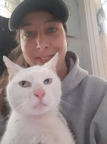 Turtle the cat is reunited with owner after 3 year absence