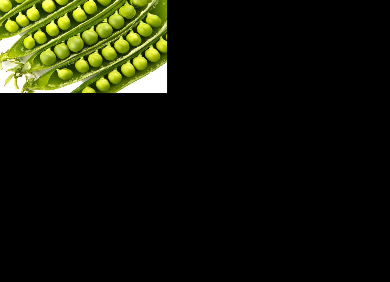 Peas_in_pods_-_Studio1.jpg