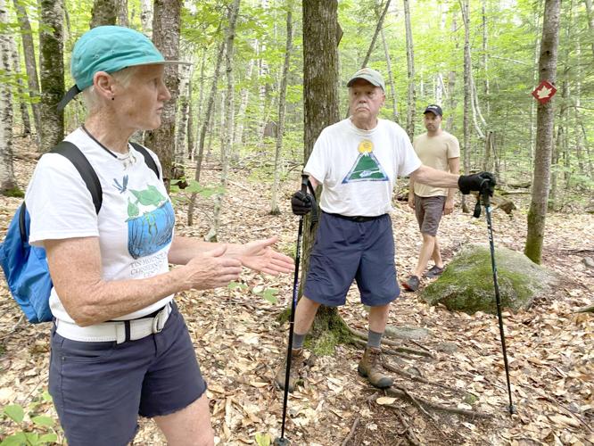 Tin Mountain Wander - trail best.jpg