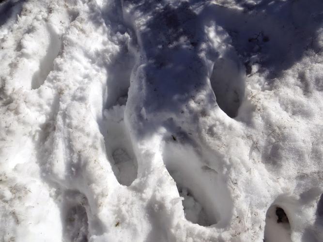 Nordic Track — Feb. 23