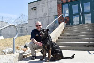 Department of Corrections looks to expand Berlin comfort dog program