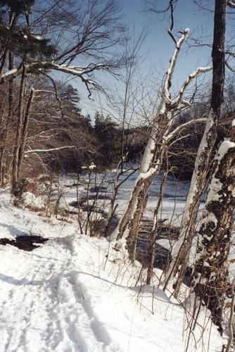 Nordic Tracks - Jan. 19