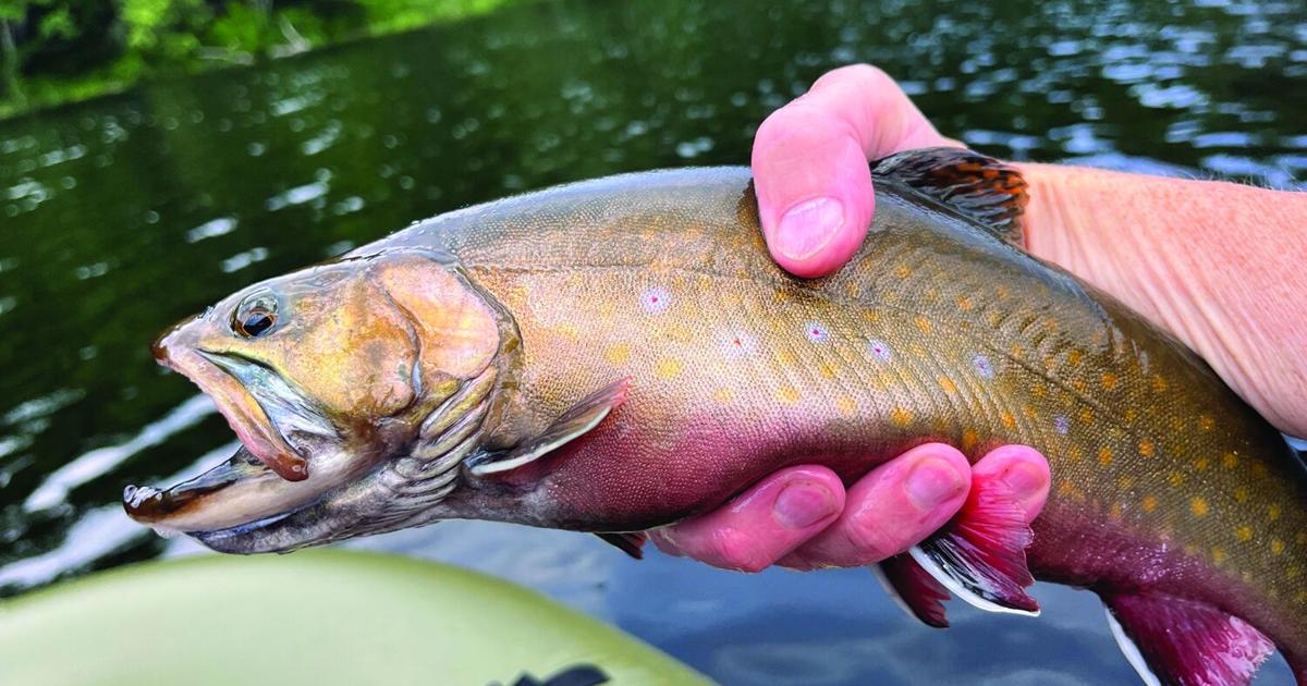 North Country Angling: Return to an old haunt