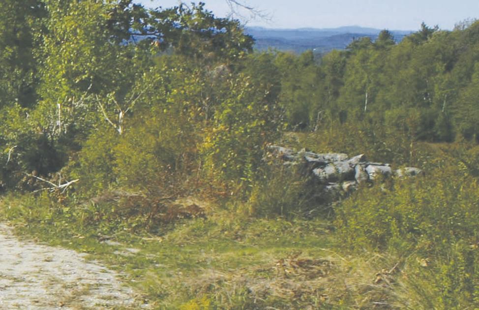 Bridgton Historical Society to host stone wall clean-up at Narramissic