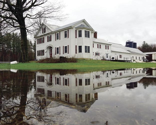 5-2-19 Standing Water.jpg