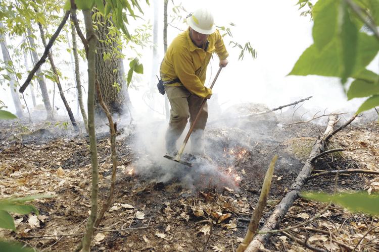 6-29-20 Forest fire